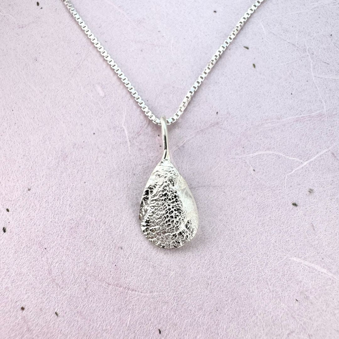 Nose Print